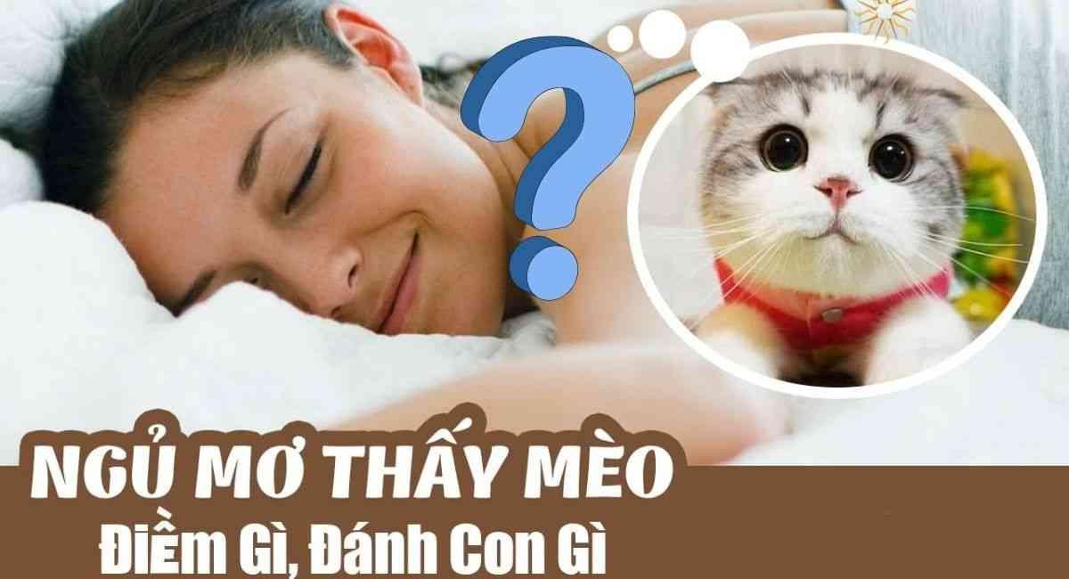 Mơ thấy mèo đánh con gì?