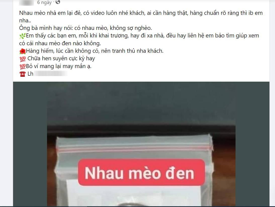 Nhau mèo đen hút tài lộc, chữa nhiều bệnh được bán giá tiền triệu - 3