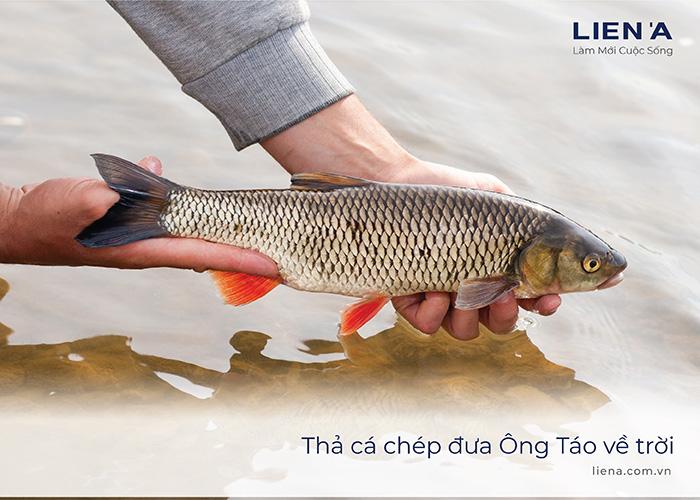 Cá chép đưa ông táo về trời