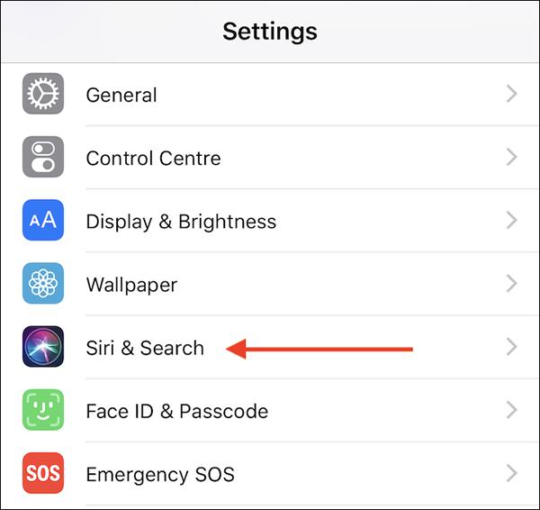 Cách mở Siri, bật Siri và những lệnh Siri hữu ích trên iPhone