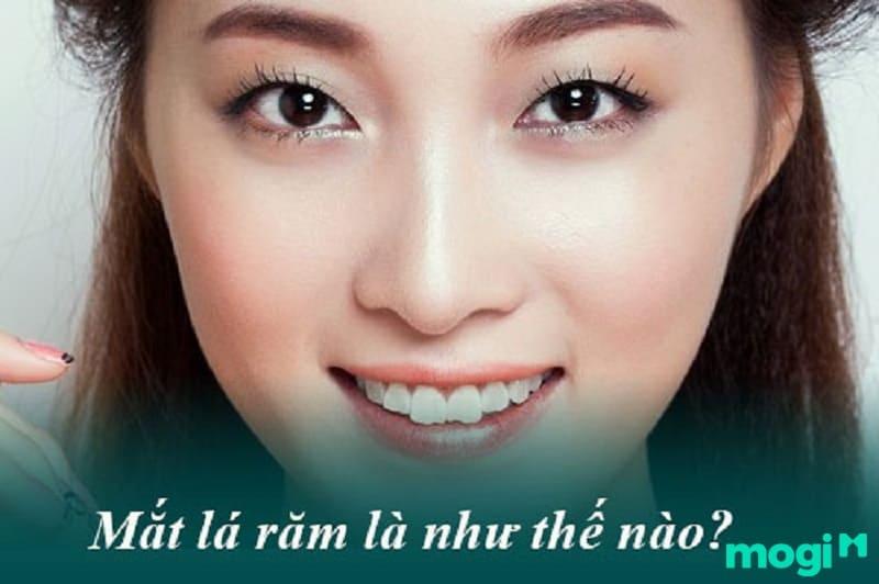 Người mang dáng mắt lá răm có nghĩa là gì?