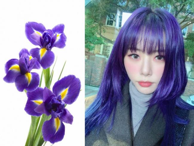 Màu tóc Iris Purple - Đỉnh cao phong cách thu hút ánh nhìn