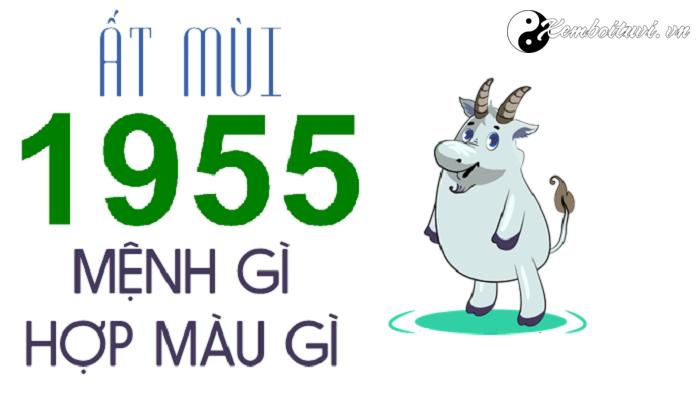 Sinh Năm 1955 Mệnh gì? Tuổi Ất Mùi Hợp tuổi nào & Màu gì? [hienthinam] 6