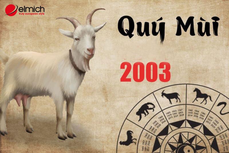 Hình 1: Giúp bạn giải đáp tuổi Quý Mùi sinh năm 2003 mệnh gì?