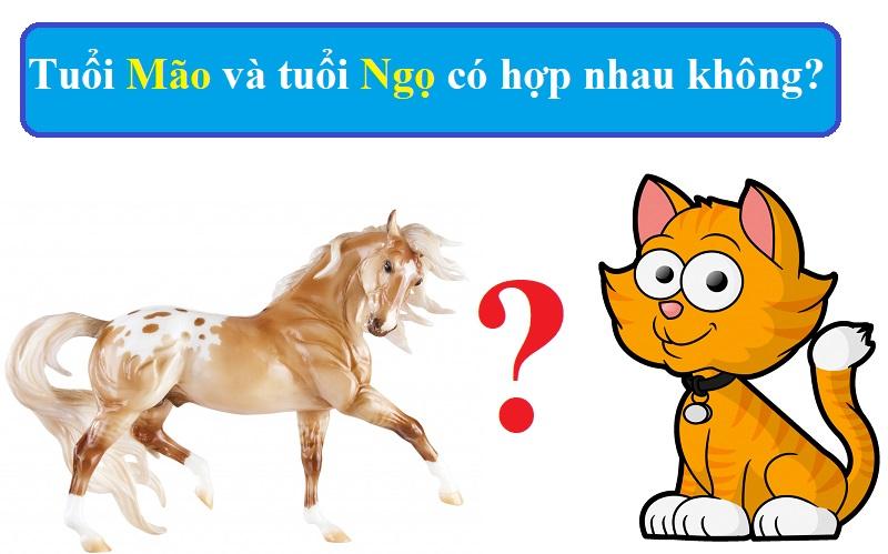 Tuổi Mão Có Hợp Với Tuổi Ngọ Không? - Khám Phá Bí Mật Phong Thủy