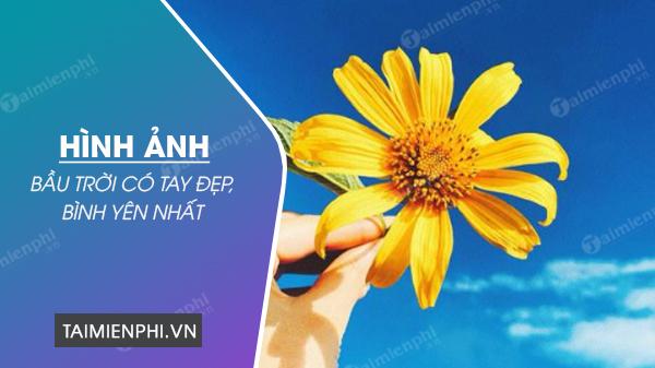 Hình ảnh bầu trời có tay cầm hoa đẹp, bình yên nhất