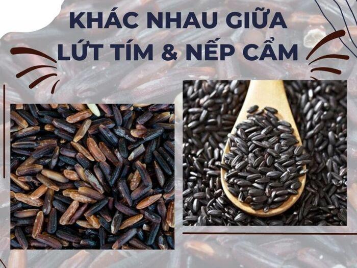 so sánh gạo nếp cẩm và gạo lứt