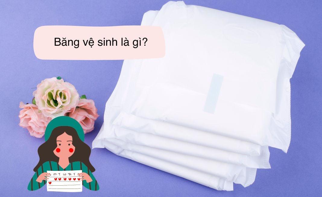 Băng vệ sinh là gì? Các loại băng vệ sinh tốt, phổ biến nhất hiện nay