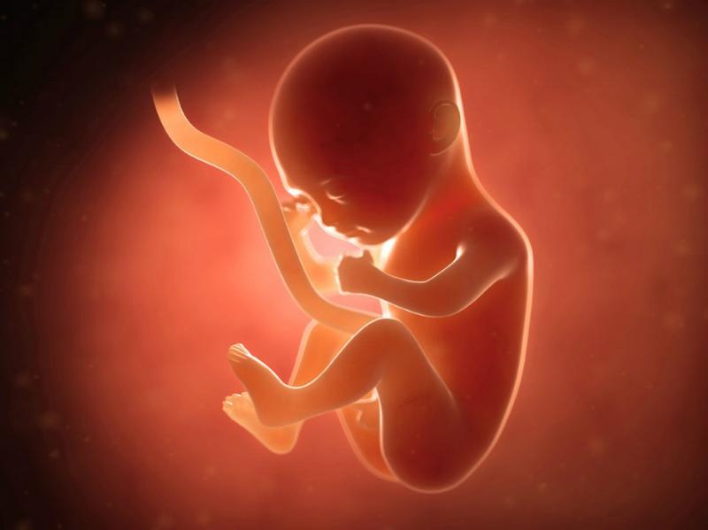 Mấy tuần có phôi thai? Làm gì để phôi thai phát triển khỏe mạnh? 1