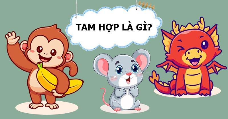 Tam hợp là gì? 