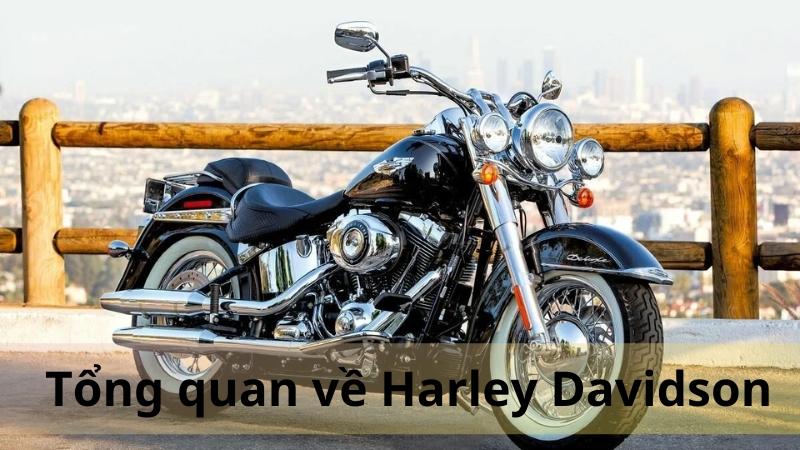 Cập nhật mới nhất bảng giá xe Harley Davidson tháng 10/2024