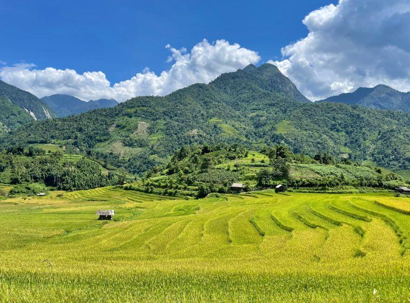 Lịch trình du lịch Sapa 2 ngày 1 đêm tự túc